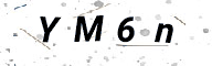 295298